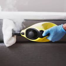 aspirateur vapeur pour nettoyer les tissus lors d'une suspicion de punaises de lit